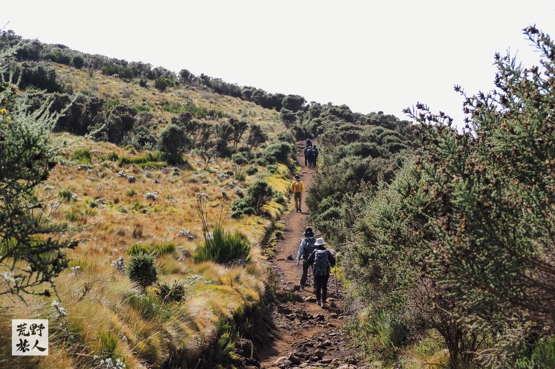 Mandara Hut → Horombo Hut 山屋：走出叢林，看見遼闊雲海