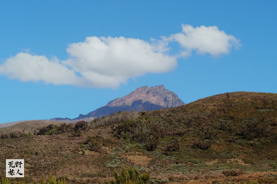 Mandara Hut → Horombo Hut 山屋：走出叢林，看見遼闊雲海