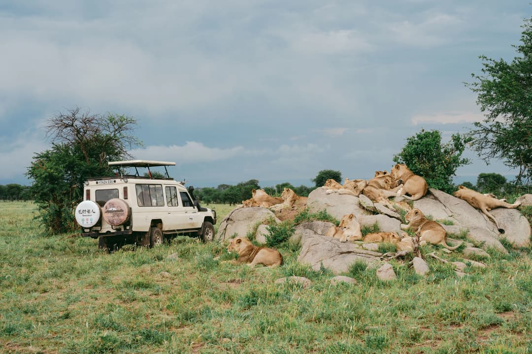 馬賽村落 → 塞倫蓋提 Serengeti