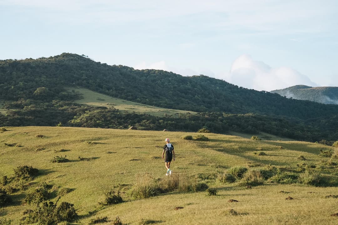 草原坡地上的行進步態