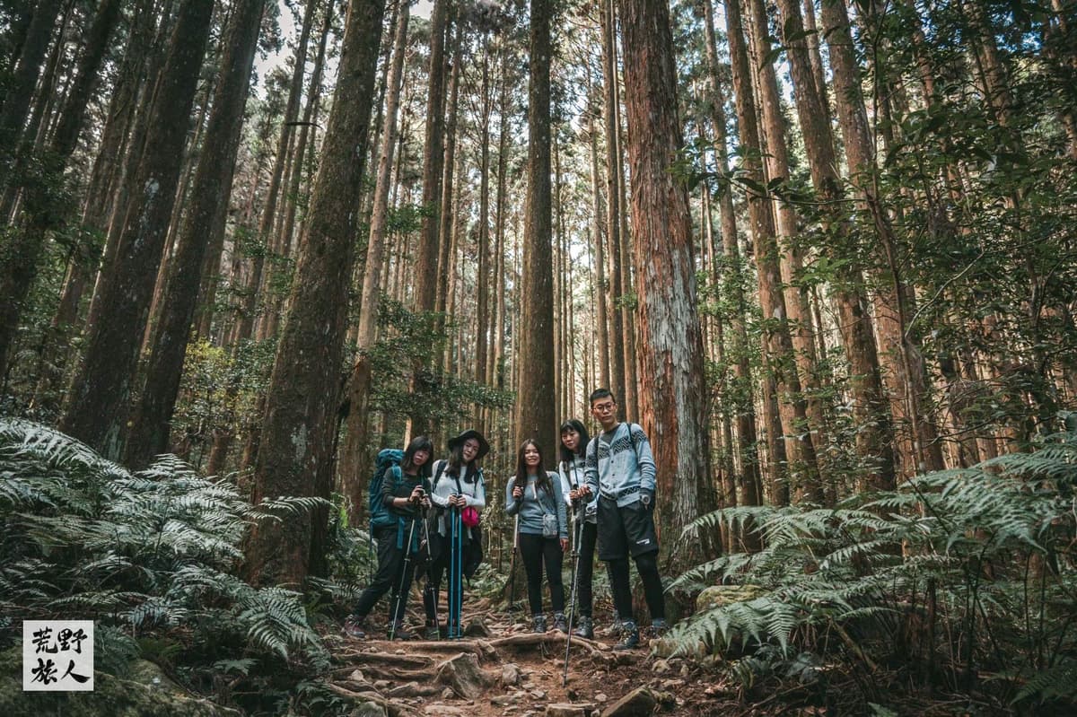 《迷霧,柳杉,眺望群峰》加里山 單攻