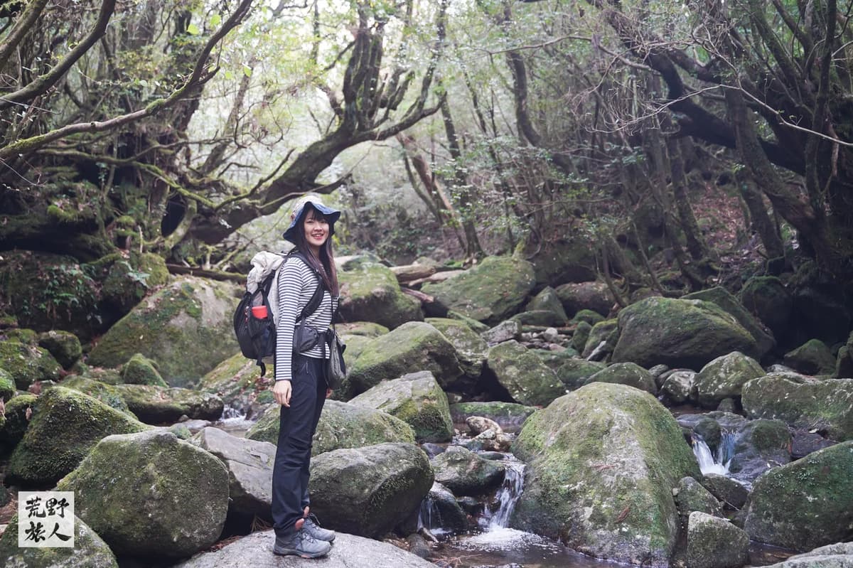 《宮崎駿,苔蘚,世界遺產》海上阿爾卑斯 屋久島
