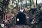 《柳杉,隧道,舊鐵道橋》阿里山眠月線野營