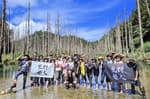 《鐵橋,枯木,入門縱走》新阿溪縱走