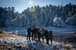 《神木,湖畔,仙女珍珠》加羅湖 — 行程景色 8