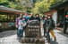 《宮崎駿,苔蘚,世界遺產》海上阿爾卑斯 屋久島 — 行程景色 3